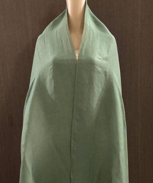 Light Green Zari Reversible Shawl